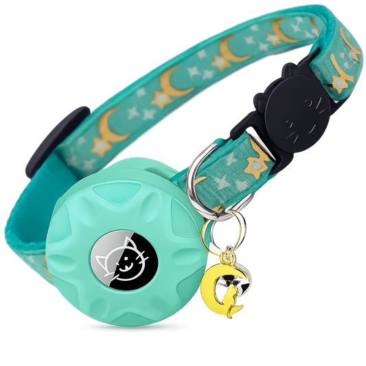 Pet Collar with AirTag Holder