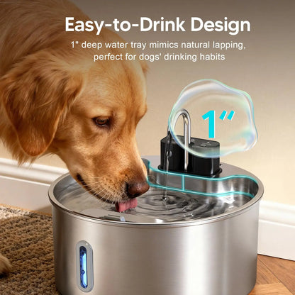 Pet Water Fountain