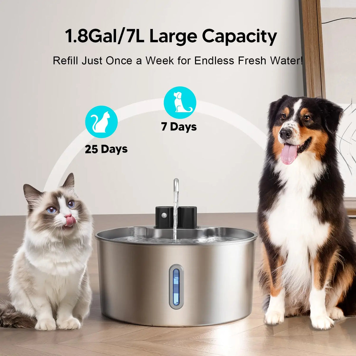 Pet Water Fountain
