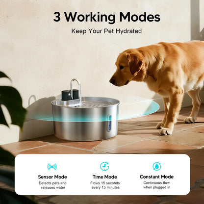 Pet Water Fountain