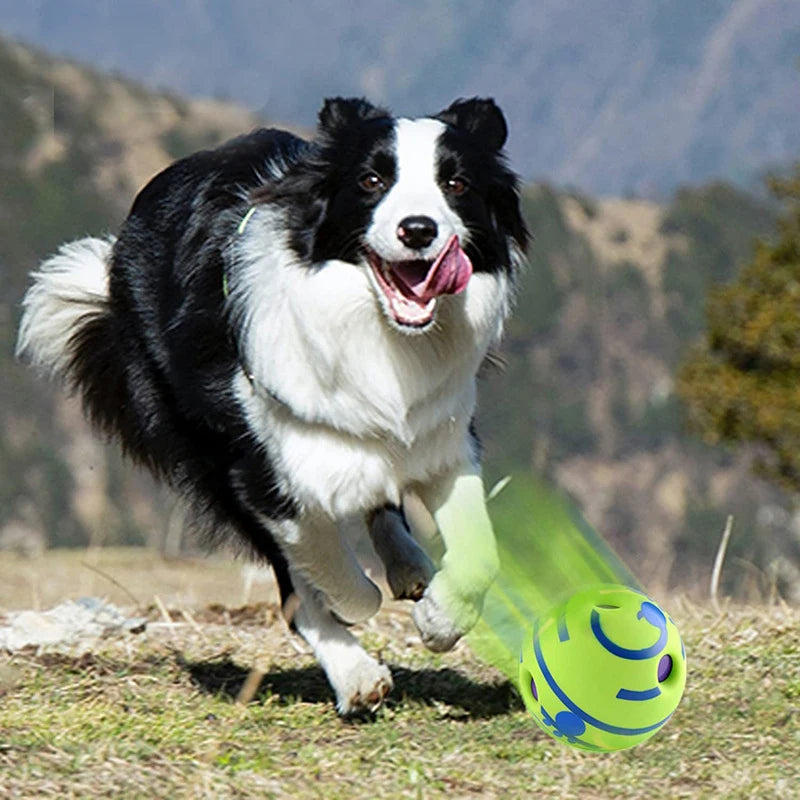 Dog Giggle Ball